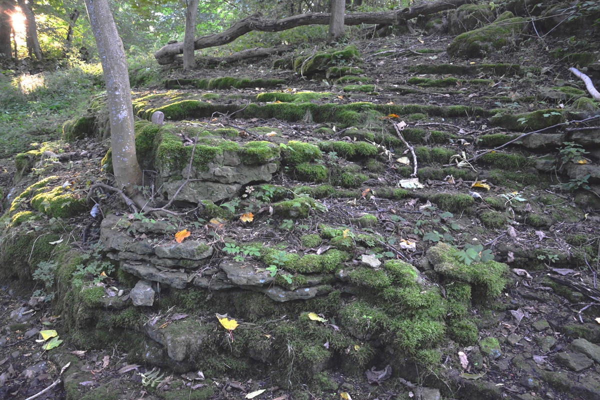 Geschichtetes Sedimentgestein